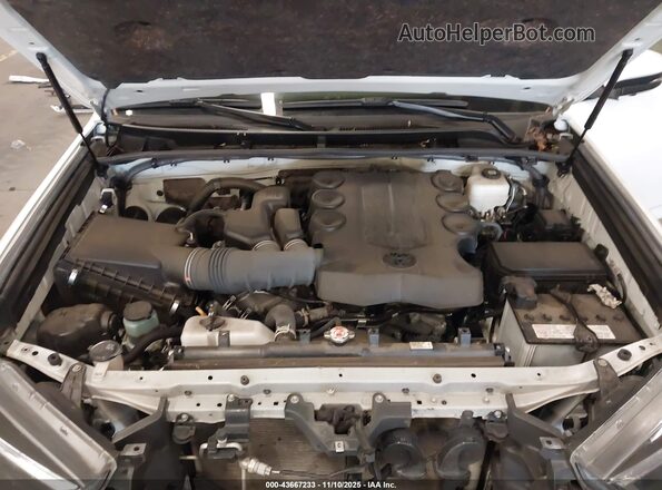 JTESU5JR7P6165375 2023 TOYOTA 4RUNNER White Widok z tyłu