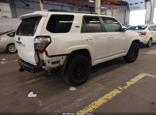 JTESU5JR7P6165375 2023 TOYOTA 4RUNNER White Tył prawy