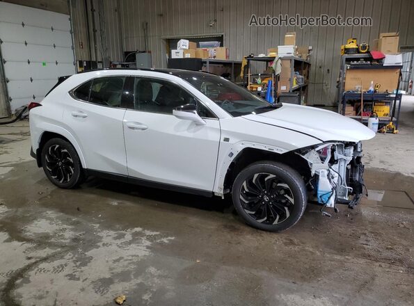 JTHB9JBH8P2068891 2023 LEXUS UX White Przód prawy