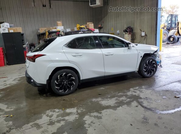 JTHB9JBH8P2068891 2023 LEXUS UX White Tył prawy