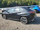 2024 Lexus Ux 250h Premium Черный vin: JTHP6JBH1R2182118