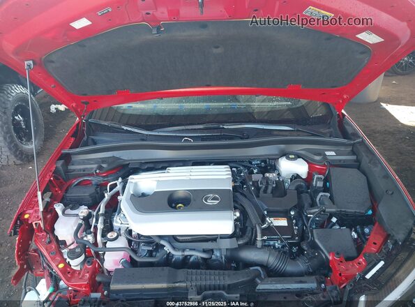JTHP6JBH6R2172832 2024 LEXUS UX 250H Red Հետևի տեսք