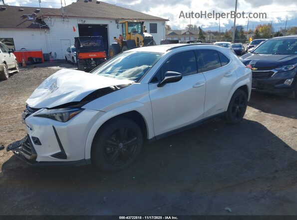 JTHP9JBH3M2048727 2021 LEXUS UX 250H White Przód lewy