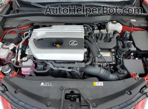 JTHP9JBH5R2073314 2024 LEXUS UX Red Widok wnętrza z tyłu