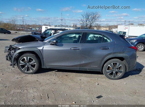 JTHP9JBH7L2034442 2020 LEXUS UX 250H Gray Вид задньої частини салону