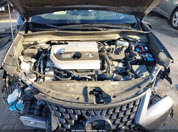 JTHP9JBH7M2044065 2021 LEXUS UX 250H Серый Вид сзади