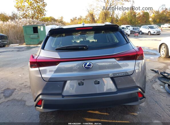 JTHP9JBH7M2044065 2021 LEXUS UX 250H Серый 