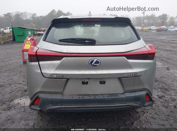 JTHR9JBH3L2030736 2020 LEXUS UX 250H Gray 