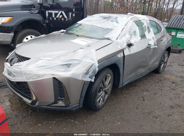 JTHR9JBH3L2030736 2020 LEXUS UX 250H Gray Widok z przodu