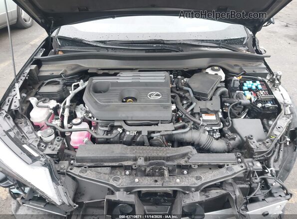 JTHUCJDHXS2002116 2025 LEXUS UX 300H Black უკანა ხედი