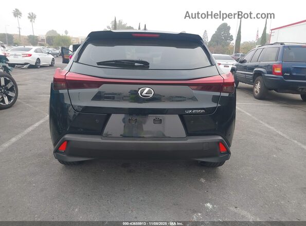 JTHX6JBH4P2142029 2023 LEXUS UX Черный 