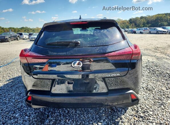 JTHX6JBH6R2193096 2024 LEXUS UX Black Widok z tyłu