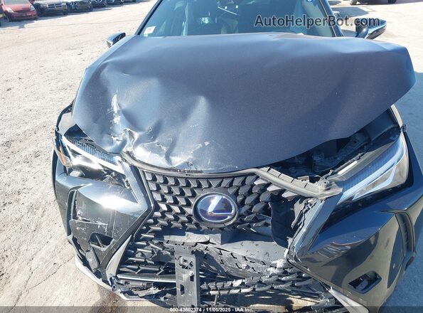 JTHX9JBH4N2058412 2022 LEXUS UX Черный Вид сзади