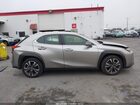 2019 Lexus Ux 200   Gray vin: JTHY3JBH6K2015532