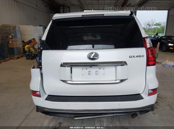 JTJAM7BX5M5282735 2021 LEXUS GX 460 Белый 