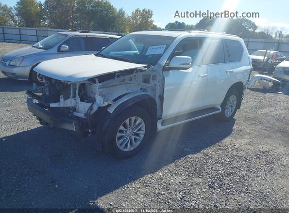 JTJAM7BX5P5350536 2023 LEXUS GX 460 Белый Передняя левая четверть