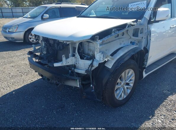 JTJAM7BX5P5350536 2023 LEXUS GX 460 Белый Вид спереди