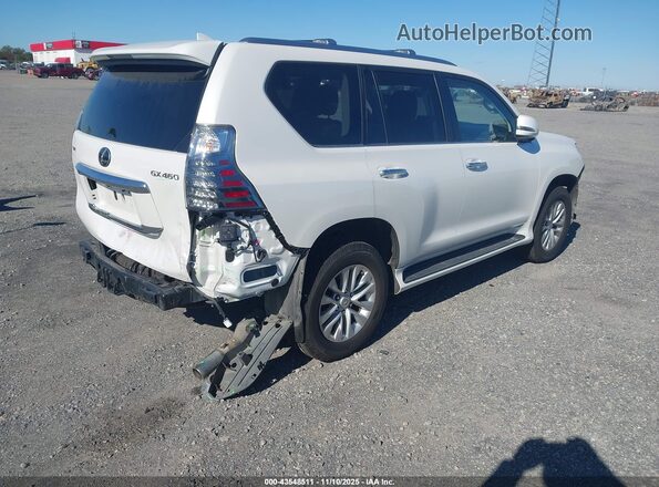 JTJAM7BX5P5350536 2023 LEXUS GX 460 Белый Задняя правая четверть