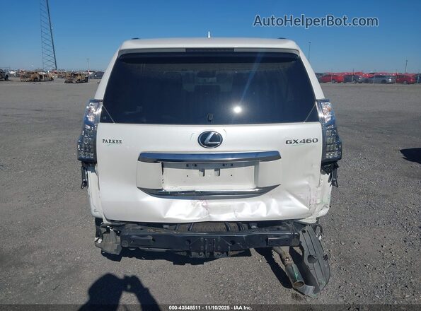 JTJAM7BX5P5350536 2023 LEXUS GX 460 Белый 