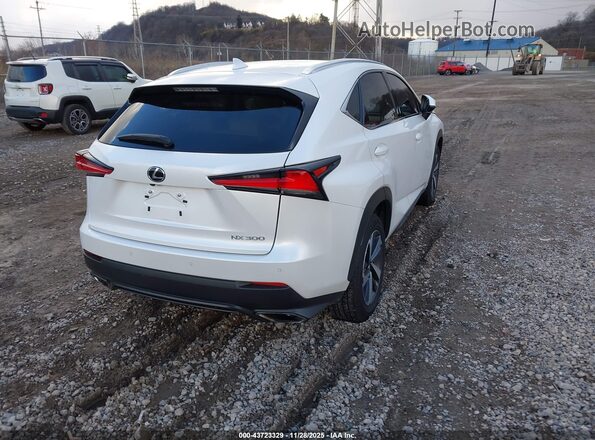 JTJBARBZ4K2181694 2019 LEXUS NX 300 White Trasero derecho