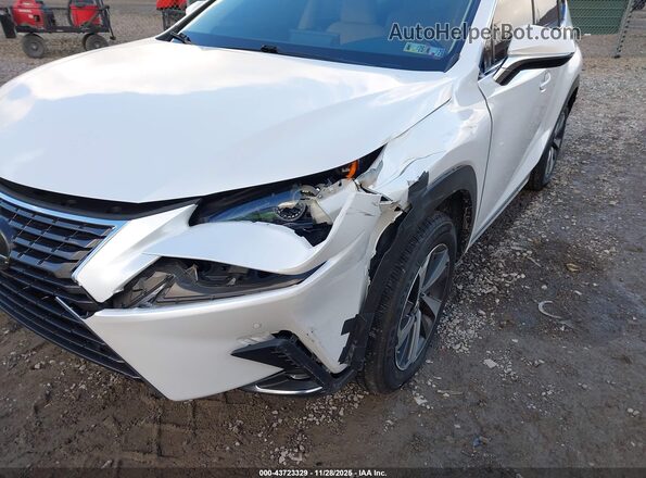JTJBARBZ4K2181694 2019 LEXUS NX 300 White Vista frontal
