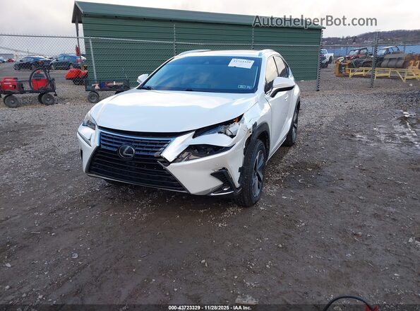 JTJBARBZ4K2181694 2019 LEXUS NX 300 White Vista tres cuartos delantera izquierda