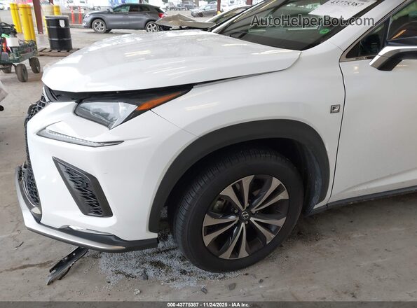 JTJBARBZ6K2180515 2019 LEXUS NX 300 Белый Вид спереди