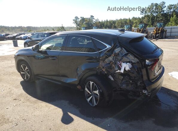 JTJBARBZ6K2187576 2019 LEXUS NX Черный Задняя левая четверть