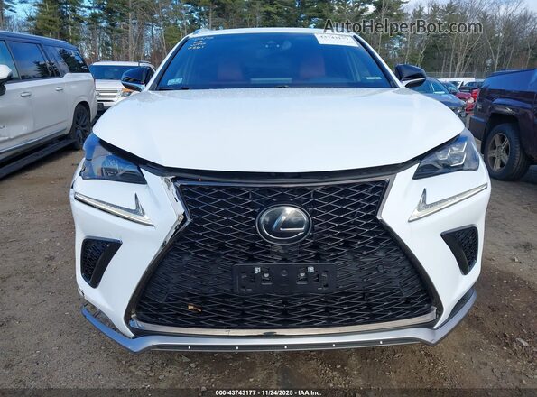 JTJBARBZ8J2170261 2018 LEXUS NX 300 White Вид щитка приладів