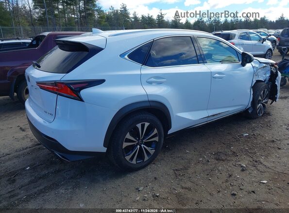 JTJBARBZ8J2170261 2018 LEXUS NX 300 White Задня права чверть