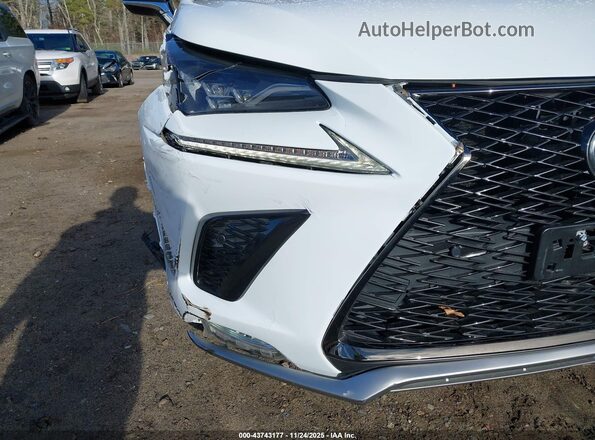 JTJBARBZ8J2170261 2018 LEXUS NX 300 White Вид спереду