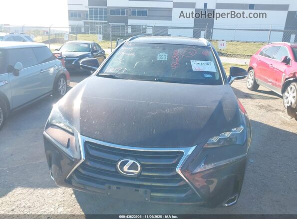 JTJBJRBZ1G2038743 2016 LEXUS NX 300H Черный Вид задней части салона