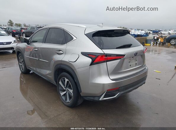 JTJBJRBZ6K2121741 2019 LEXUS NX 300H Золотой Задняя левая четверть