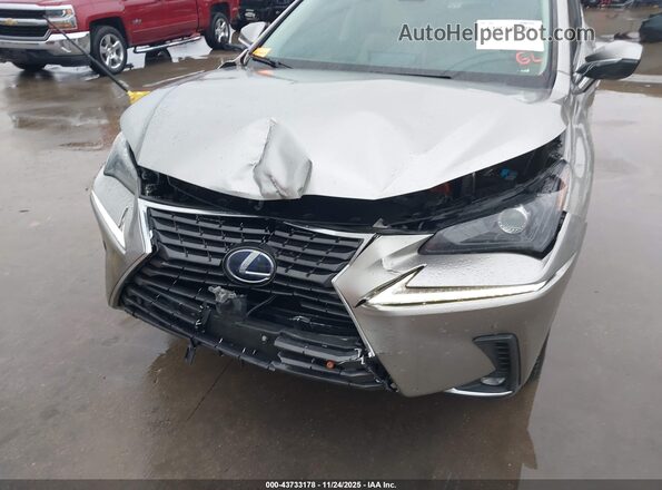 JTJBJRBZ6K2121741 2019 LEXUS NX 300H Золотой Вид спереди