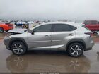 2019 Lexus Nx 300h   Золотой vin: JTJBJRBZ6K2121741