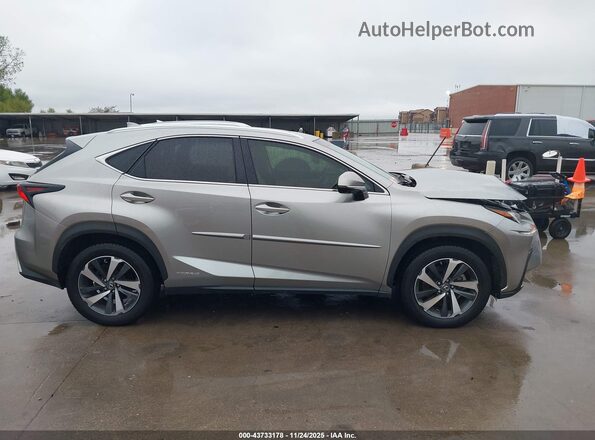 JTJBJRBZ6K2121741 2019 LEXUS NX 300H Золотой Вид задней части салона