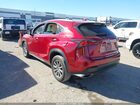 2020 Lexus Nx 300   Red vin: JTJDARBZ0L5020297