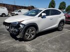 2020 Lexus Nx 300 White vin: JTJDARBZ2L5000794
