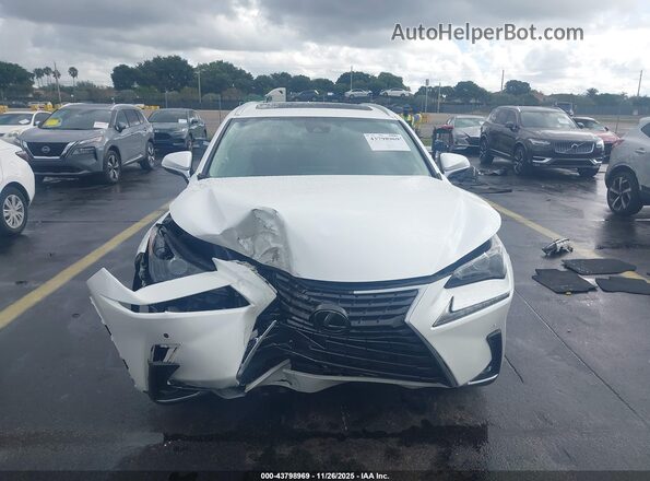 JTJDARBZ4M5020742 2021 LEXUS NX 300 White Вид задньої частини салону