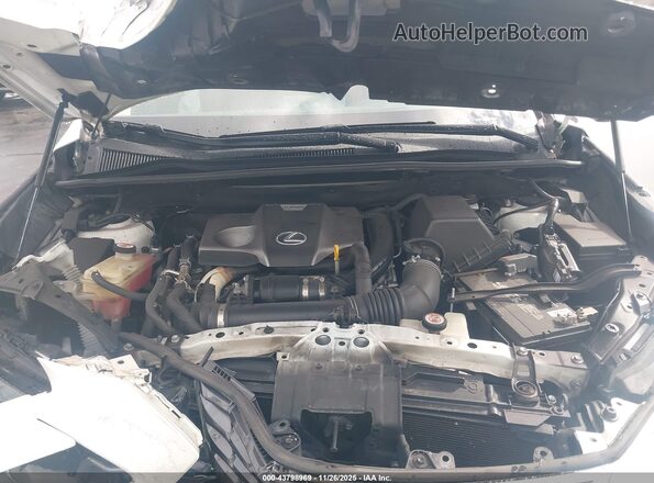 JTJDARBZ4M5020742 2021 LEXUS NX 300 White Вид ззаду