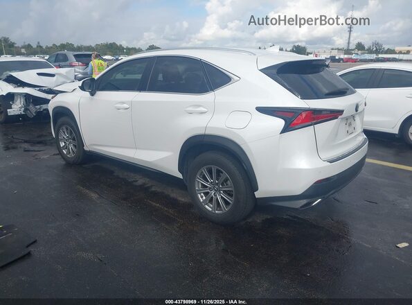 JTJDARBZ4M5020742 2021 LEXUS NX 300 White Задня ліва чверть