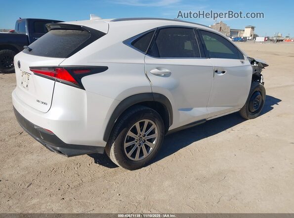 JTJDARBZXM5025279 2021 LEXUS NX 300 White უკანა მარჯვენა