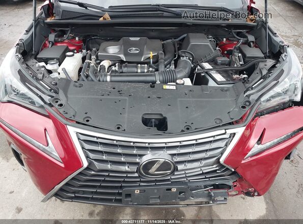 JTJDARDZ5M5028006 2021 LEXUS NX 300 Красный Вид сзади