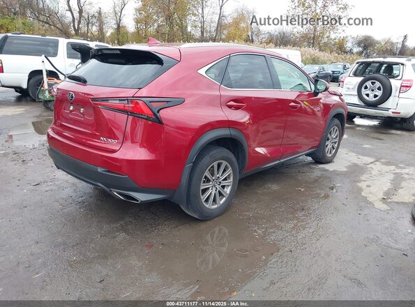 JTJDARDZ5M5028006 2021 LEXUS NX 300 Красный Задняя правая четверть