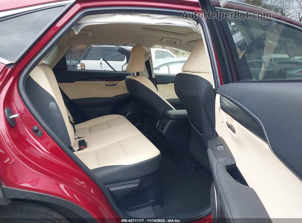 JTJDARDZ5M5028006 2021 LEXUS NX 300 Красный Вид наклейки с VIN-кодом