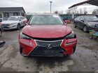 2021 Lexus Nx 300   Красный vin: JTJDARDZ5M5028006