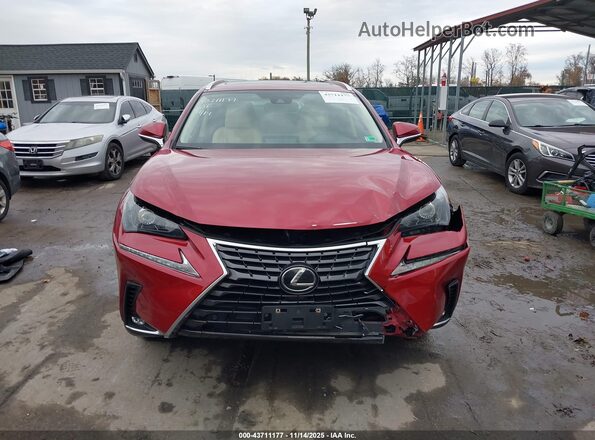 JTJDARDZ5M5028006 2021 LEXUS NX 300 Красный Вид щитка приборов
