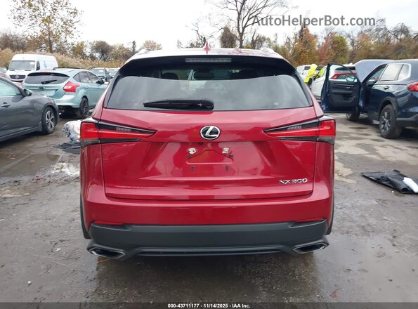 JTJDARDZ5M5028006 2021 LEXUS NX 300 Красный 