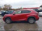 2021 Lexus Nx 300   Красный vin: JTJDARDZ5M5028006