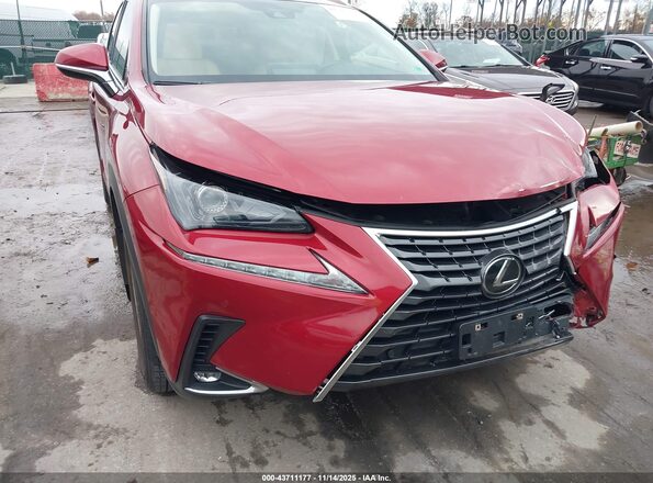 JTJDARDZ5M5028006 2021 LEXUS NX 300 Красный 